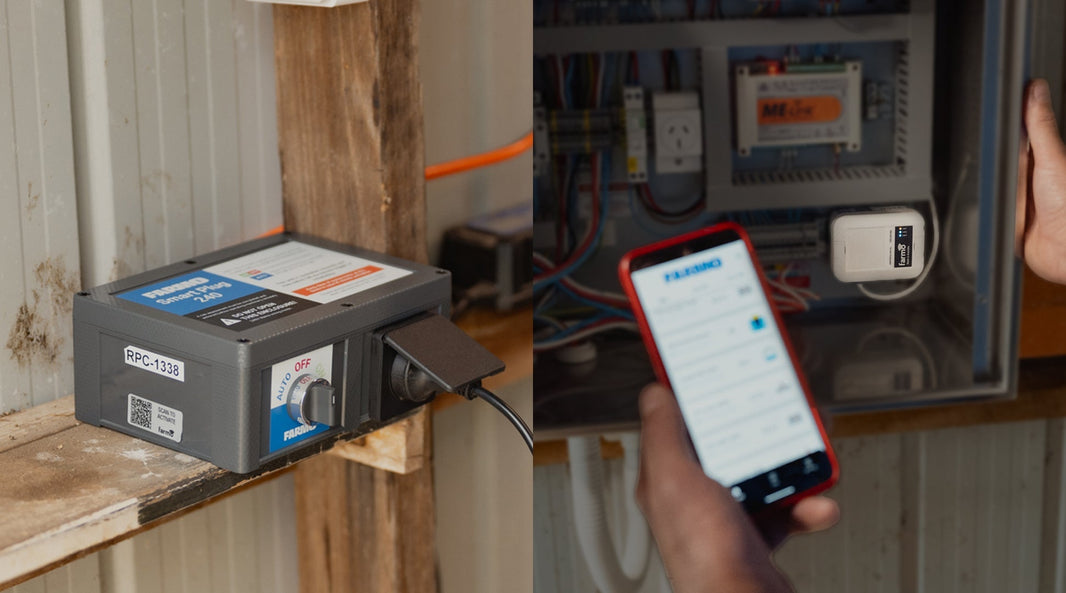 Smart Plug or IoT Switch? How to choose the right automation device for your operation