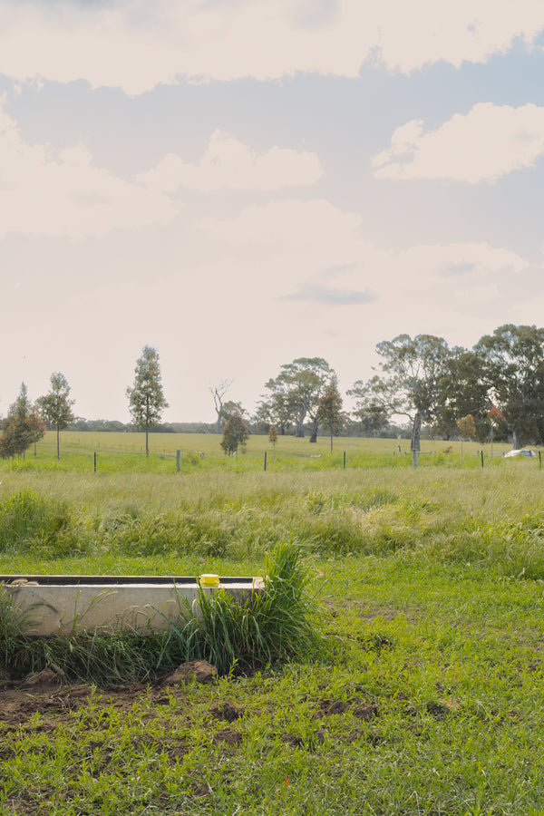 Remote Monitoring Provides On-Farm Labour Savings
